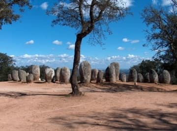 Explore the site