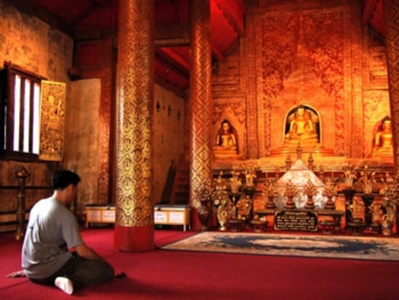 Explore the site