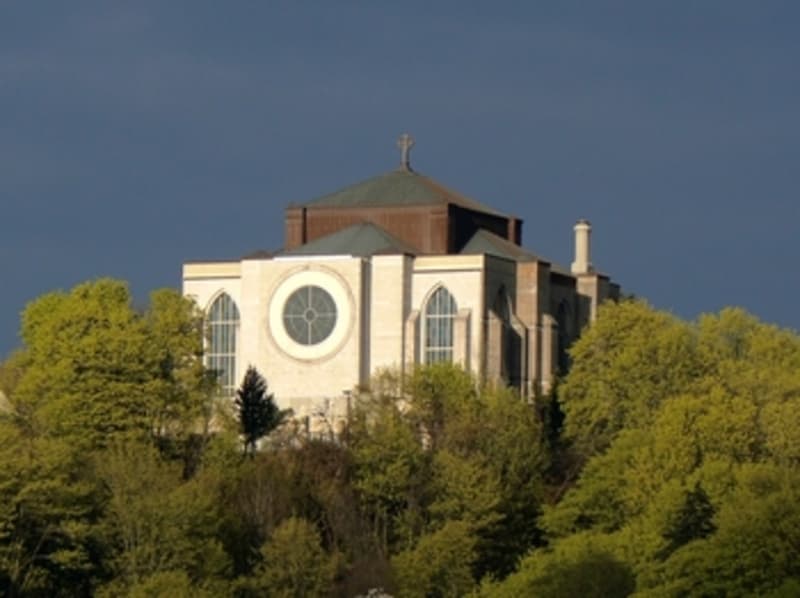 Explore the site