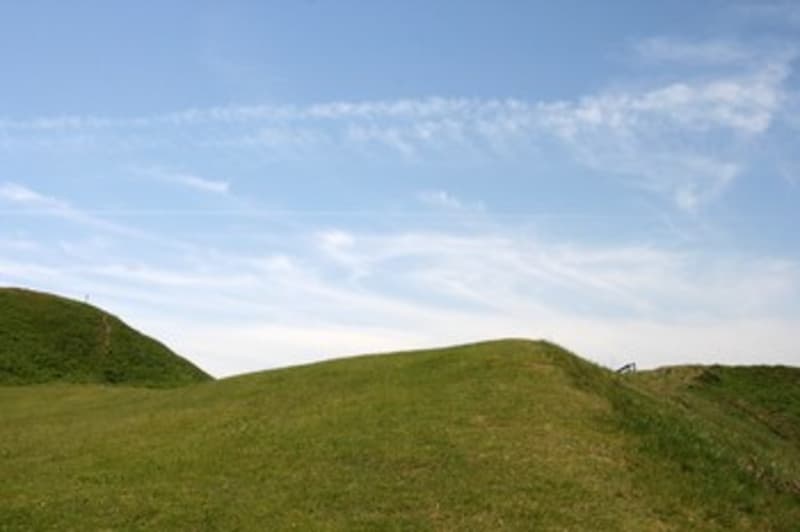 Explore the site
