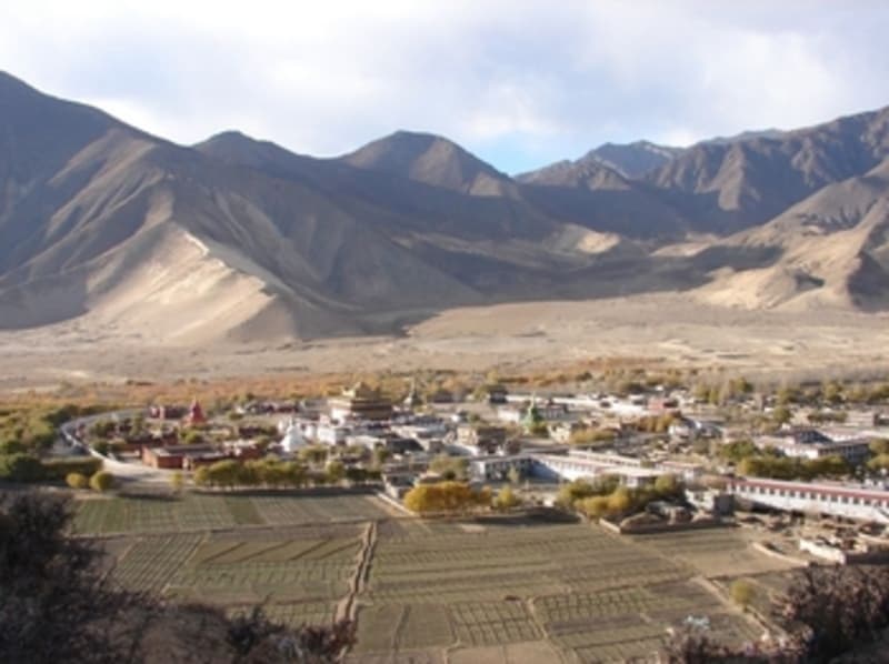 Explore the site