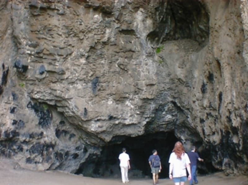 Explore the site