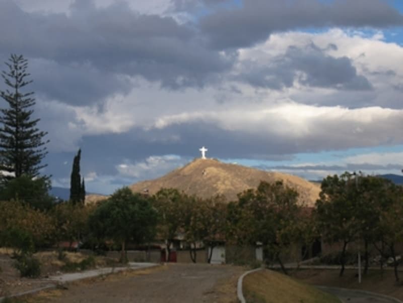 Explore the site
