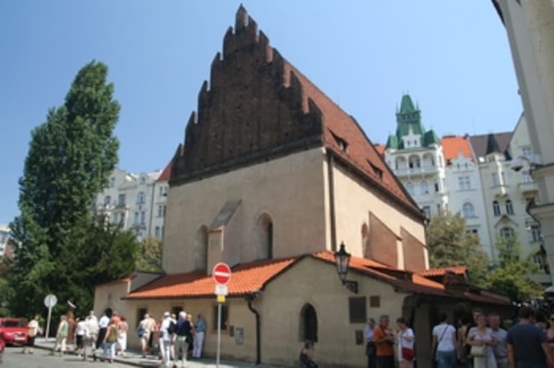 Explore the site