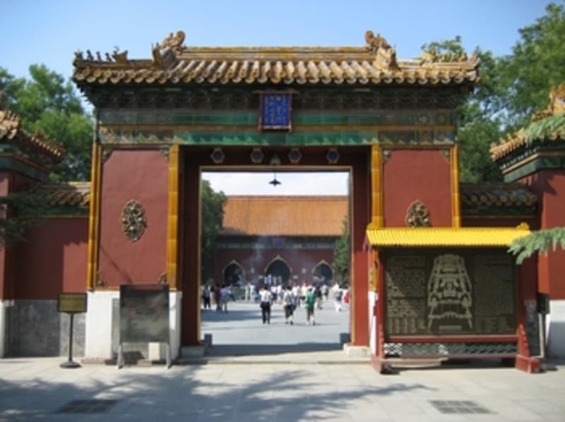 Explore the site