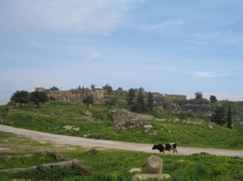 Ancient Gadara