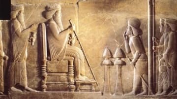 Explore the site