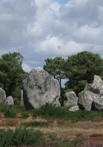 Explore the site