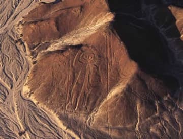 Drawings of major Nazca Lines.