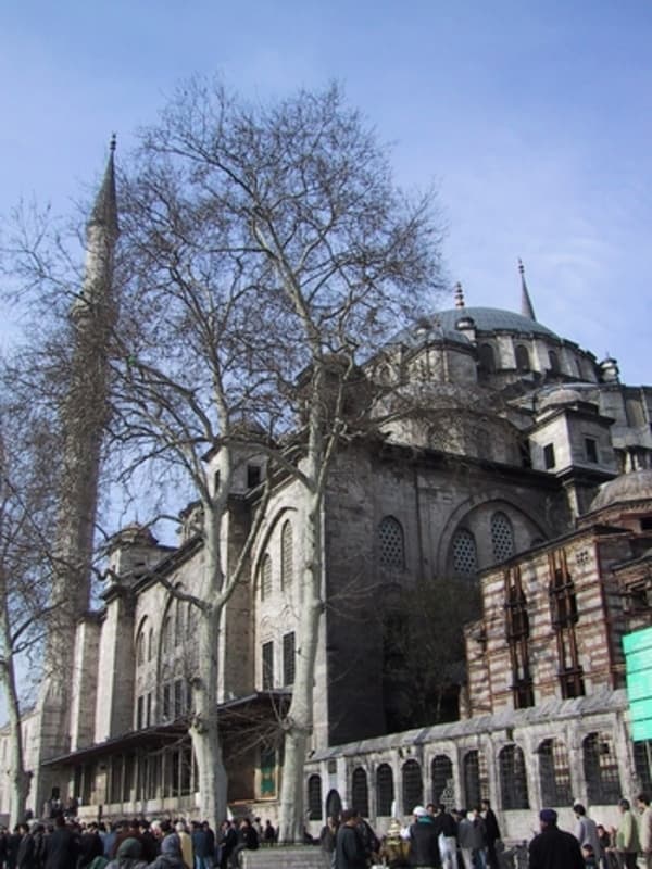 Explore the site