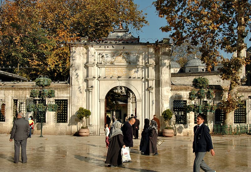 Explore the site