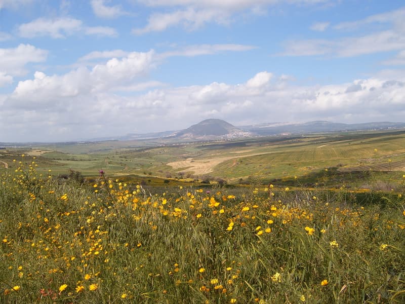 View across the Jezreel Valley to Mount Tabor.