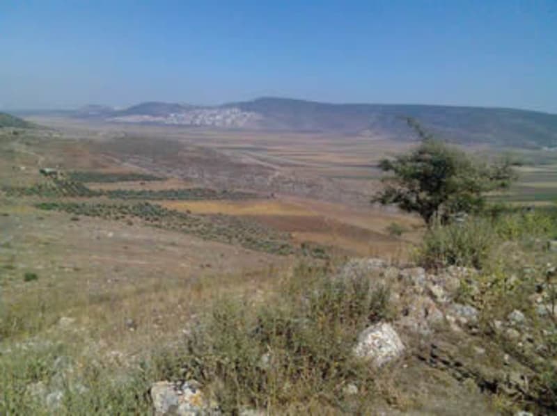 Explore the site