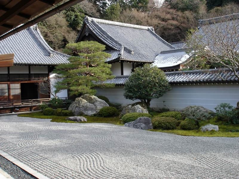 Explore the site