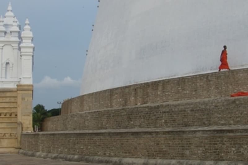 Explore the site