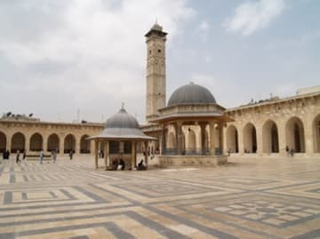 Explore the site