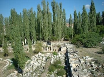 Explore the site