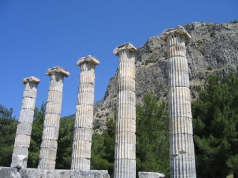 Explore the site