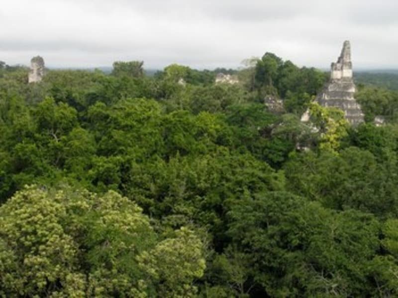 Explore the site