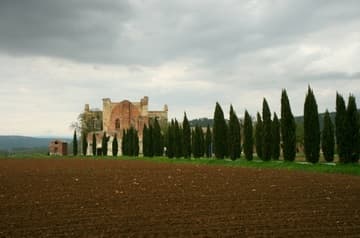 View from west. San Galgano Abbey, built by the Cistercians 1224-88. Tuscany, Italy.