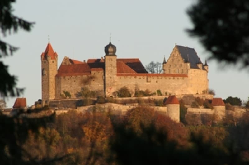 Explore the site