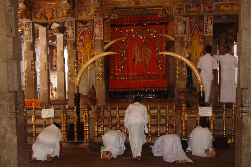 Explore the site